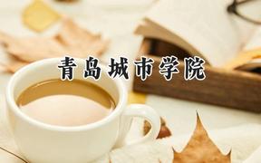 青岛城市学院2024在内蒙古录取分数线是多少？最低352分/最高409分