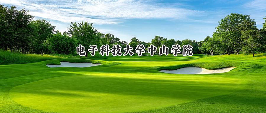电子科技大学中山学院