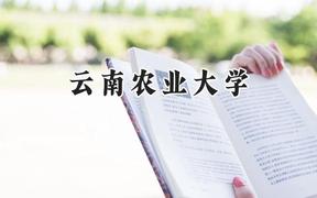 云南农业大学2024在上海录取分数线是多少？最低422分/最高465分
