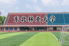 东北林业大学2024在辽宁录取分数线是多少？最低522分/最高613分