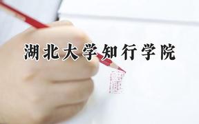 湖北大学知行学院2024在辽宁录取分数线是多少？最低440分/最高476分