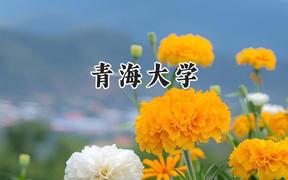 青海大学2024在天津录取分数线是多少？最低583分/最高600分