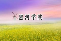 黑河学院2024在四川录取分数线是多少？最低500分/最高512分