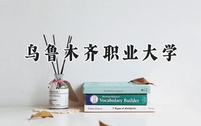 2024乌鲁木齐职业大学录取分数线：青海最低264分