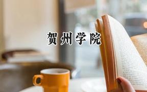 2024贺州学院录取分数线：江苏最低492分