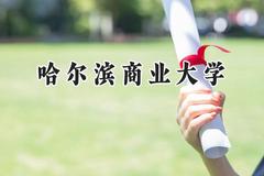 2024哈尔滨商业大学录取分数线：青海最低372分