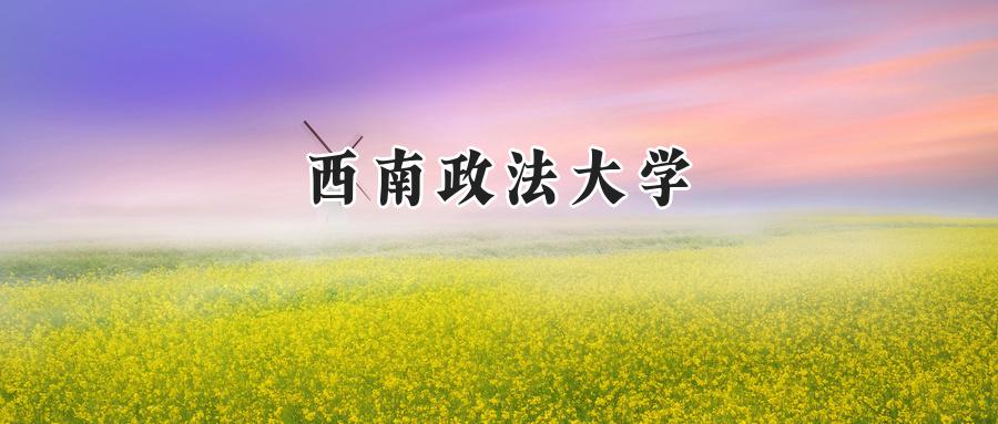 西南政法大学
