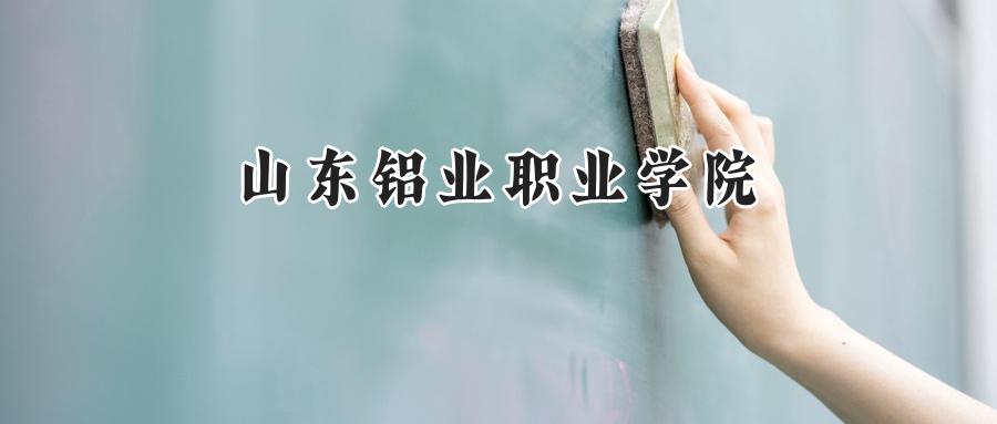 山东铝业职业学院