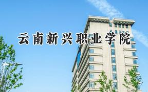 云南新兴职业学院2024在四川录取分数线是多少？最低342分/最高384分