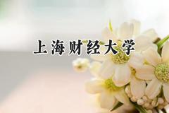 上海财经大学2024在上海录取分数线是多少？最低561分/最高579分