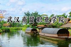 武汉商贸职业学院2024在山西录取分数线是多少？最低269分/最高352分