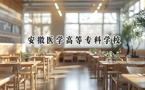 安徽醫(yī)學高等專科學校2024在上海錄取分數(shù)線是多少？最低238分/最高254分