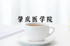2024肇庆医学院录取分数线：山西最低361分