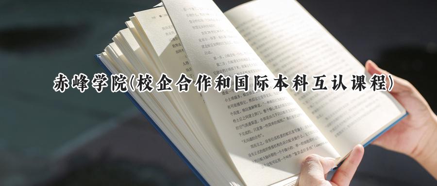 赤峰学院(校企合作和国际本科互认课程)