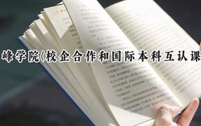 赤峰学院(校企合作和国际本科互认课程)2024在内蒙古录取分数线是多少？最低375分/最高425分