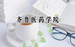 齐鲁医药学院2024在内蒙古录取分数线是多少？最低378分/最高474分