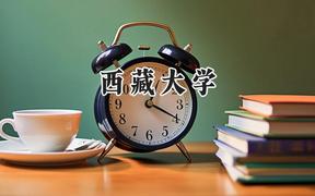 2024西藏大學(xué)錄取分數(shù)線：青海最低383分