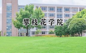 2024攀枝花学院录取分数线：宁夏最低410分