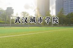 2024武汉城市学院录取分数线：山西最低406分