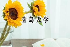 青岛大学2024在上海录取分数线是多少？最低482分/最高516分