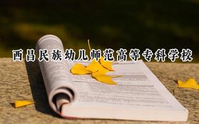 西昌民族幼儿师范高等专科学校2024在重庆录取分数线是多少？最低324分/最高390分