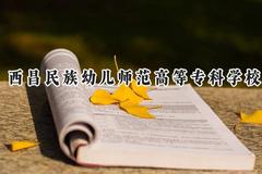 西昌民族幼儿师范高等专科学校2024在重庆录取分数线是多少？最低324分/最高390分