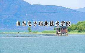山东电子职业技术学院2024在贵州录取分数线是多少？最低268分/最高373分