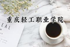 重庆轻工职业学院2024在浙江录取分数线是多少？最低313分/最高383分