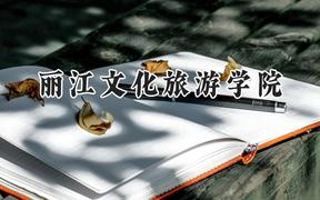 2024丽江文化旅游学院录取分数线：青海最低172分
