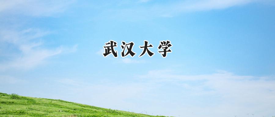 武汉大学