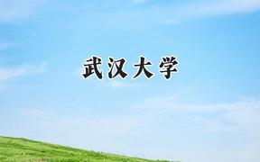 武汉大学2024在浙江录取分数线是多少？最低654分/最高691分