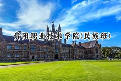 贵阳职业技术学院(民族班)2024在贵州录取分数线是多少？最低313分/最高434分
