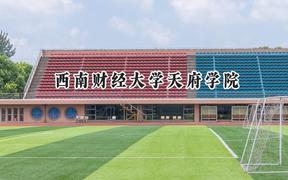 2024西南财经大学天府学院录取分数线：青海最低282分