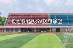 2024西南财经大学天府学院录取分数线：青海最低282分