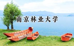 2024南京林业大学录取分数线：新疆最低411分