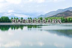 2024陕西能源职业技术学院录取分数线：宁夏最低350分