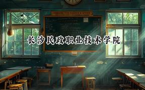 长沙民政职业技术学院2024在重庆录取分数线是多少？最低407分/最高491分