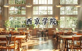 2024西京学院录取分数线：青海最低337分