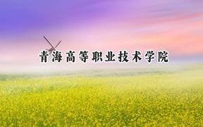 青海高等职业技术学院2024在青海录取分数线是多少？最低260分/最高355分