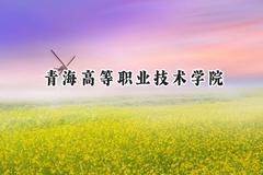 青海高等职业技术学院2024在青海录取分数线是多少？最低260分/最高355分