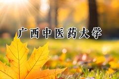 广西中医药大学2024在山东录取分数线是多少？最低519分/最高577分