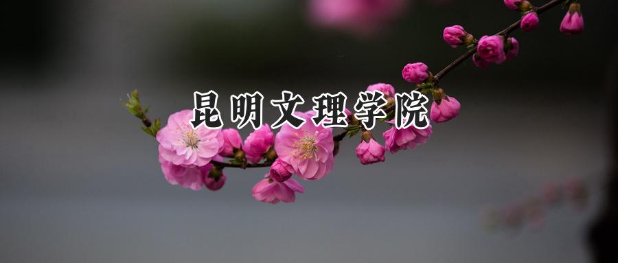 昆明文理学院