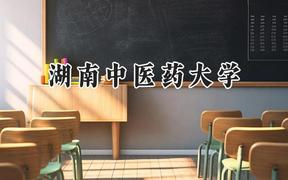 湖南中医药大学2024在山东录取分数线是多少？最低500分/最高607分