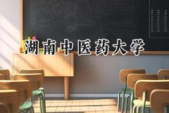 湖南中医药大学2024在山东录取分数线是多少？最低500分/最高607分
