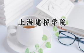 上海建桥学院2024在福建录取分数线是多少？最低413分/最高486分