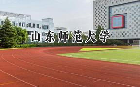 山东师范大学2024在青海录取分数线是多少？最低395分/最高490分