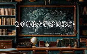 電子科技大學(xué)(沙河校區(qū))2024在山東錄取分數(shù)線是多少？最低584分/最高650分