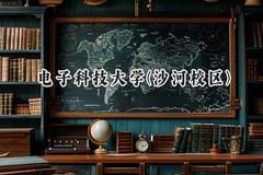 电子科技大学(沙河校区)2024在山东录取分数线是多少？最低584分/最高650分