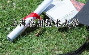 上海应用技术大学2024在山东录取分数线是多少？最低542分/最高579分