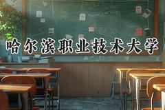 哈尔滨职业技术大学2024在青海录取分数线是多少？最低266分/最高328分